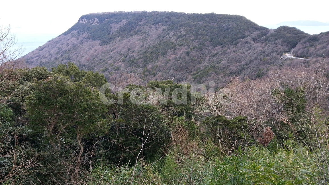 하늘,구름,산,나무,자연,숲,덤불,적막감,겨울산,겨울풍경,외로움,산길,도로,차도,자연,풍경,nature,landscape,outdoors,옥외,bush,부시,plant,식물,vegetation,초목