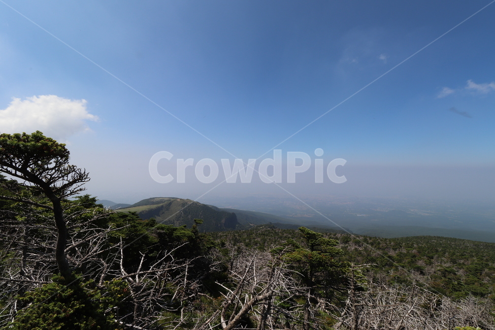 배경화면,자연풍경,경치,한라산,자연배경,등산,나무,산,등산길,제주도,한라산등산,여름,가을,하늘,자연,배경,풍경,멋진경치,nature,언덕,hill,옥외