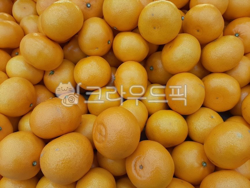 감귤,감귤류과일,천혜향,귤,디저트,푸드,식재료,dessert,food,간식,후식,비타민,박스,과일,fruits