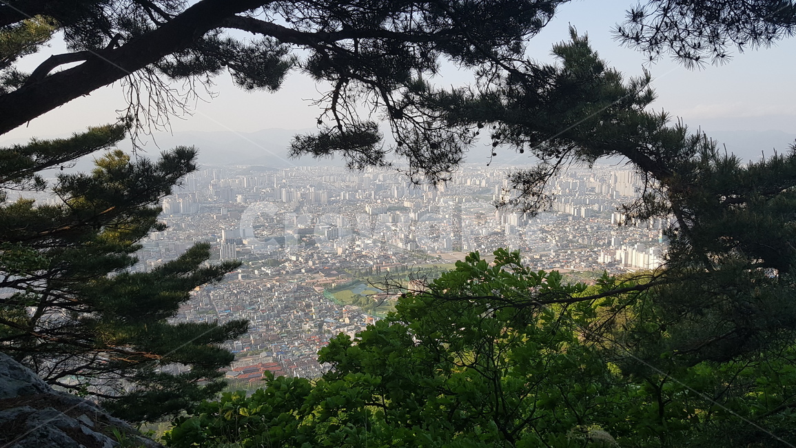 도시,전경,대구,앞산,명소,나무,빌딩,시야,cityview,panorama,cityscape,viewpoint,attraction,buildings,sight
