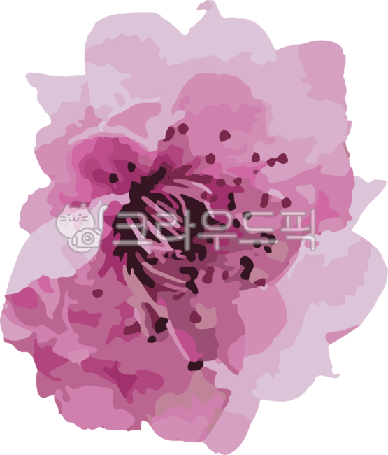 벚꽃,분홍색,핑크,핑크꽃,화려한,꽃수술,cherryblossom,flower,꽃