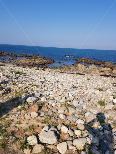 돌,바다,자연,화창한,그림자