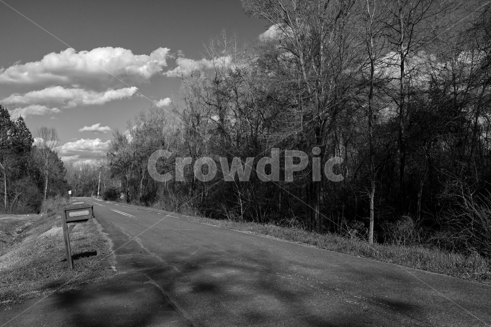 도로,나무,우편함,구름,하늘,자연,풍경,nature,landscape,흑백,모노톤,monochrome,black and white,road,asphalt,아스팔트