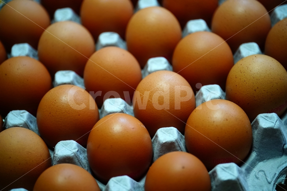 chicken,raw eggs,egg,objects,recipe,animal nature,side dish,ingredients,cooking,poultry farm,raw egg,cook,food ingredients,food,chick,grocery,thing,object
