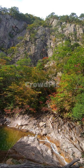 자연,폭포,산,설악산,계곡,경치,풍경,등산,가을