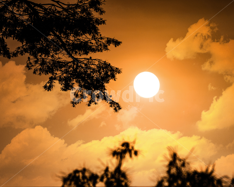 햇빛,sunlight,outdoors,옥외,light,빛,flare,플레어,nature,풍경,풍경사진,노을,해질녘,구름,하늘,저녁,자연,풍경,nature,landscape