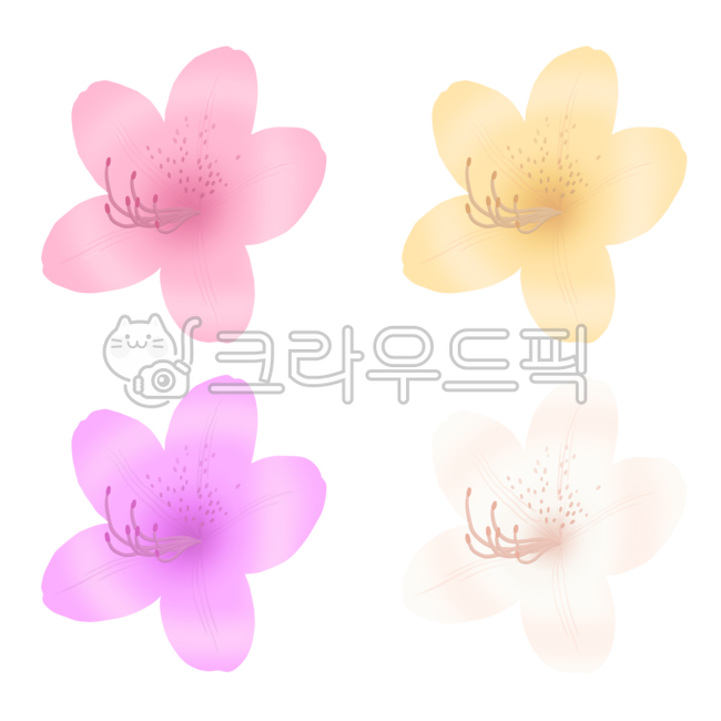 anther,꽃밥,flower,꽃,철쭉,봄,봄꽃,분홍,노랑,보라,하양,spring,azalea,illustration,식물,식물일러스트,꽃일러스트,진달래,plant