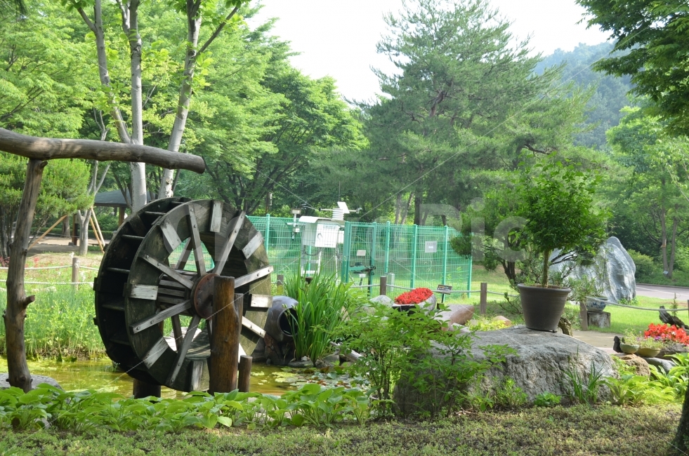 대구수목원,수목원,물레방아,자연,희망,자연,풍경,nature,landscape,wheel,바퀴,machine,기계