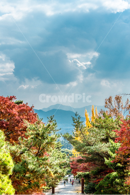 현충사,하늘,구름,풍경,가을,빛내림,단풍,가을,계절,fall,autumn,season,자연,풍경,nature,landscape,한국자연풍경,한국자연경관,korea nature landscape,plant,식물,tree,나무