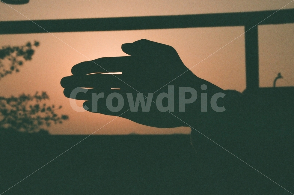 감성사진,노을,그림자,하늘,필름,필카,필름카메라,서울,태양,손,가을,사람,인물,인간,human,person,신체일부,몸,body,손,제스처,표시,손짓,표현,gesture,hand,sign,expression,실루엣,그림자,silhouette,shadow,감성,sensible,feeling
