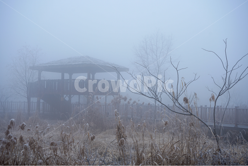 안개,공원,풍경,시설물,정자,겨울,계절,감성,겨울,계절,winter,season,자연,풍경,nature,landscape,weather,날씨,outdoors,옥외