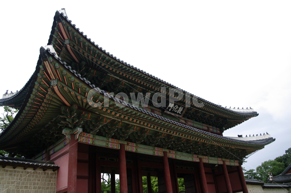 돈화문,창덕궁,고궁,한옥,전통가옥,기와지붕,건축,traditional,한국전통,한국문화,korean traditional,korean culture,랜드마크,landmark,tourist attraction,한국랜드마크,한국관광지,한국명소,korea landmark,korea tourist attraction,건축물,건물외관,exterior,building,structure,architecture,construction