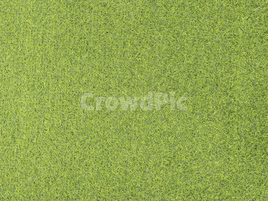grass,잔디,plant,식물,바닥,녹색,텍스처,질감,패턴,texture,pattern