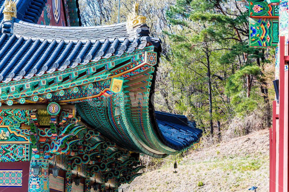 단청,문양,처마,패턴,무늬,한국전통,한국문화,korean traditional,korean culture,건축물,건물외관,exterior,building,structure,architecture,construction