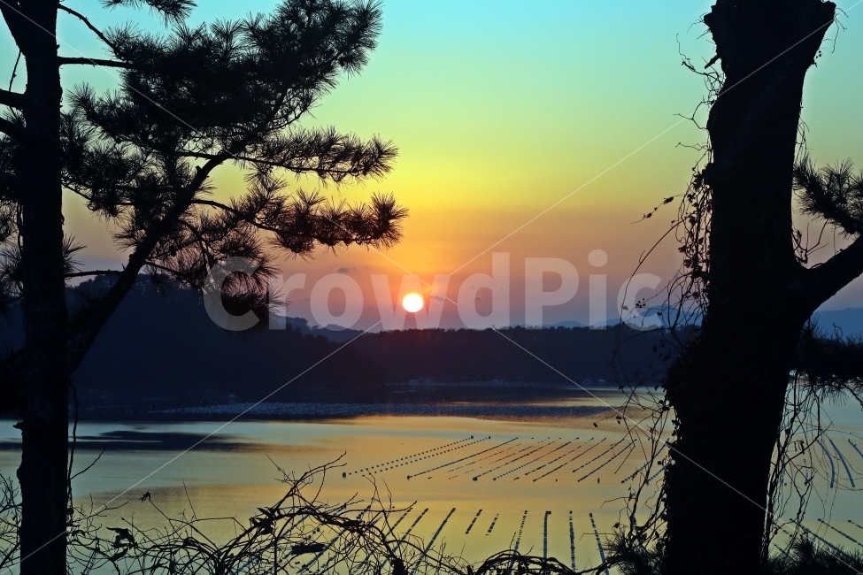 일몰,통영,자연,풍경,12월,겨울,해넘이,해,나무,바다,산,잔잔한,자연,풍경,nature,landscape,outdoors,옥외,sunlight,햇빛,sky,하늘,dusk,황혼,red sky,붉은 하늘,dawn,새벽,sunset
