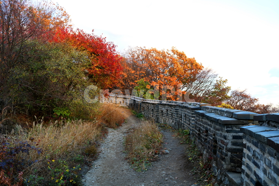 남한산성,산성,성벽,자연,풍경,산,가을,단풍,나무,공원,가을,계절,fall,autumn,season,한국전통,한국문화,korean traditional,korean culture,건축물,건물외관,exterior,building,structure,architecture,construction,plant,식물,tree,maple,dirt road,흙길,gravel,자갈,road,도로,leaf,잎