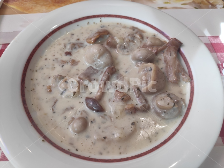 버섯,크림,소스,음식,food,cream,sauce