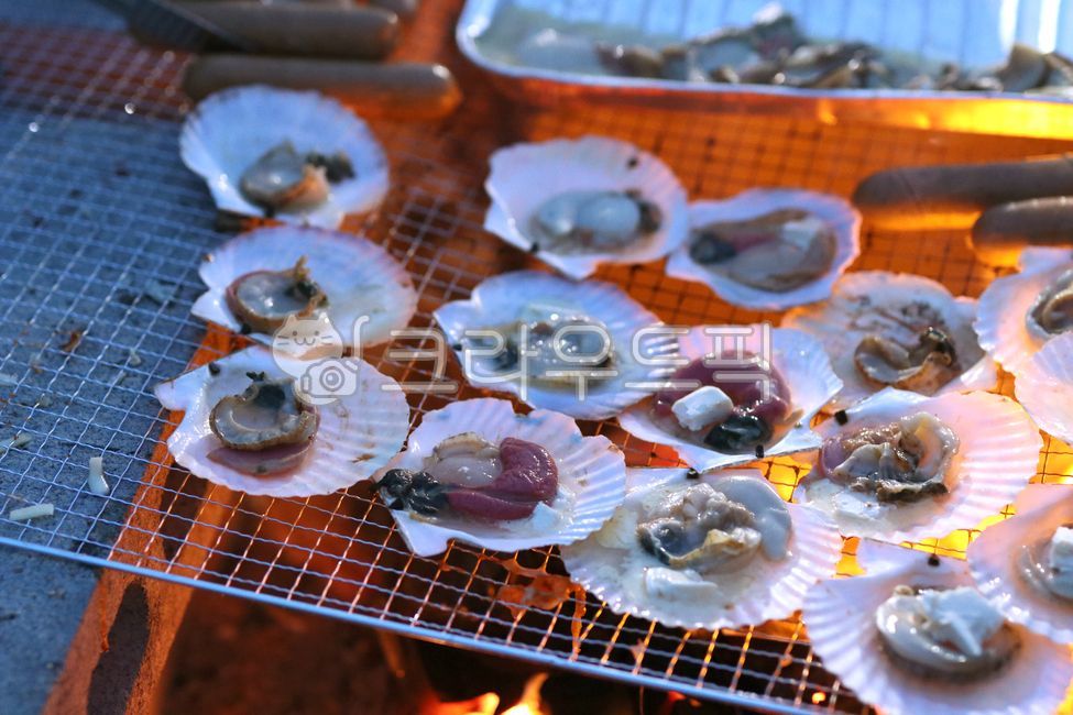 BBQ,scallop,Grilled clams,clam,travel,Camping