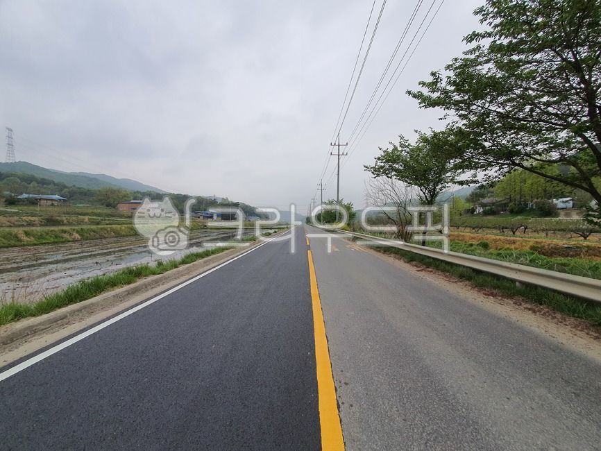 도로,시골길,직선도로,중심,길,아스팔트