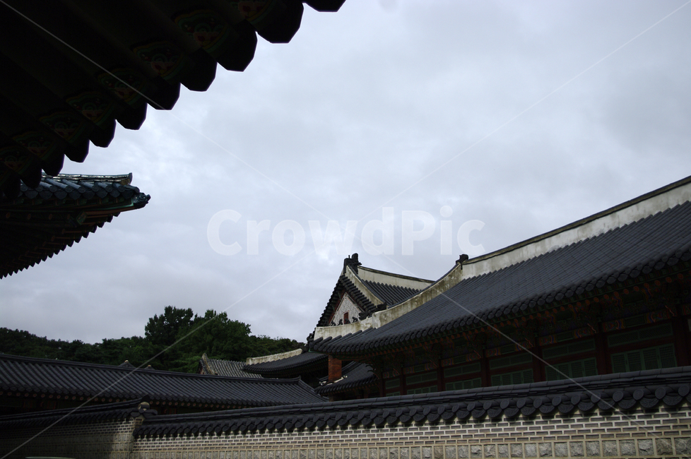 창덕궁,고궁,한옥,전통가옥,기와지붕,건축,traditional,하늘,한국전통,한국문화,korean traditional,korean culture,랜드마크,landmark,tourist attraction,한국랜드마크,한국관광지,한국명소,korea landmark,korea tourist attraction,건축물,건물외관,exterior,building,structure,architecture,construction