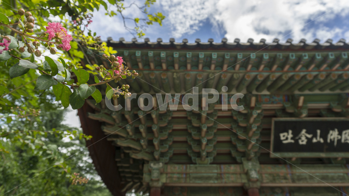 경주,불국사,불국사풍경,여름풍경,절