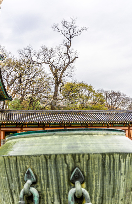 고궁,문화유산,문화재,창덕궁,관광명소,문양,한국전통,한국문화,korean traditional,korean culture
