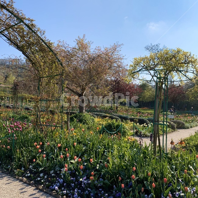 outdoors,옥외,garden,정원,flower,꽃밭
