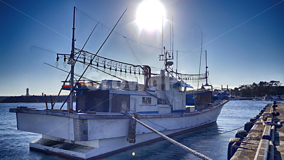 어선,항구,위미항,선박,교통,port,포트,바다,배,보트,boat,어업,fishery,fishing industry