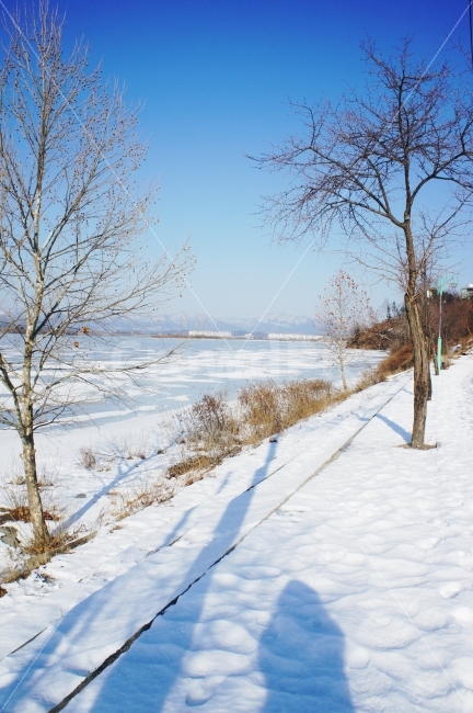겨울,강,얼음,눈,하얀이미지,깨끗한이미지,첫눈,겨울,계절,winter,season,자연,풍경,nature,landscape,한국자연풍경,한국자연경관,korea nature landscape,식물,plants,나무,trees,wood,outdoors,옥외,plant,tree