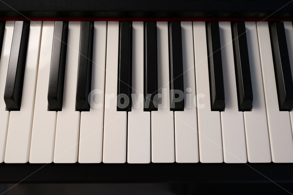 피아노,건반,전자피아노,piano,악기,흑과백,악기,음향기기,musical instrument,musical equipment