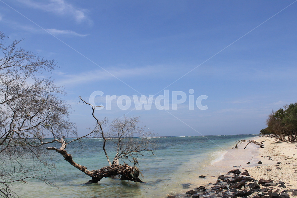 인도네시아,길리,해변,나무해변,나무,indonesia,gili,beach,treeandbeach,treeonthebeach,vacation,고즈넉