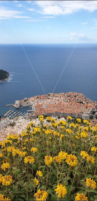 Eastern Europe,Overseas,dubrovnik,building,foreign country,structure,foreign,oversea,rampart,world,adriatic sea,construction,land mark,red roof,landmark,Dubrovnik,Croatia,architecture