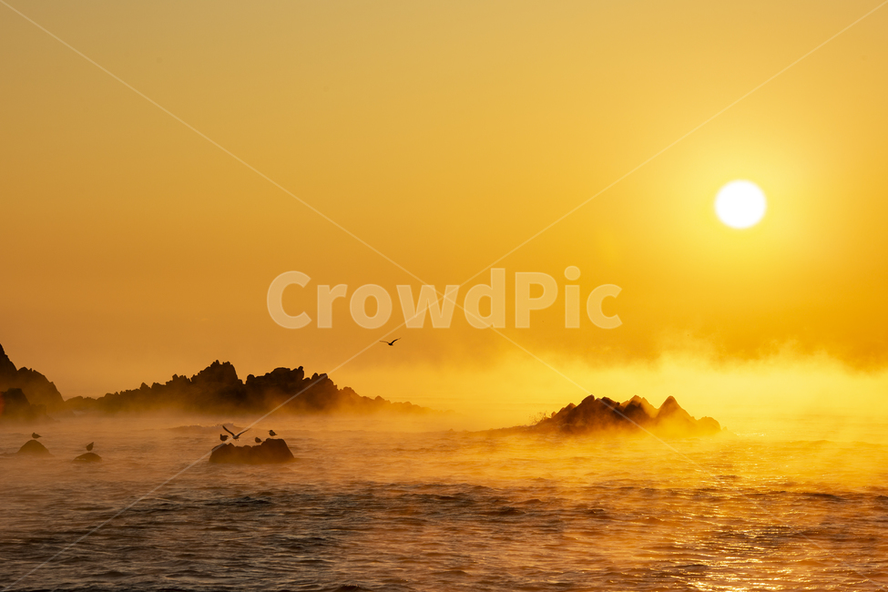 일출,경주일출,문무대왕릉,경주,동해바다,자연,풍경,nature,landscape,한국자연풍경,한국자연경관,korea nature landscape,outdoors,옥외