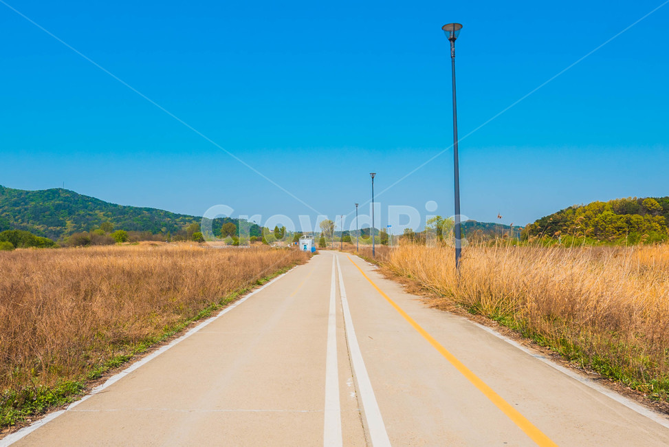 road,도로,freeway,자전거길,자전거도로,직선도로,산책로,시골길,갈대밭길,시골,생태공원,갈대