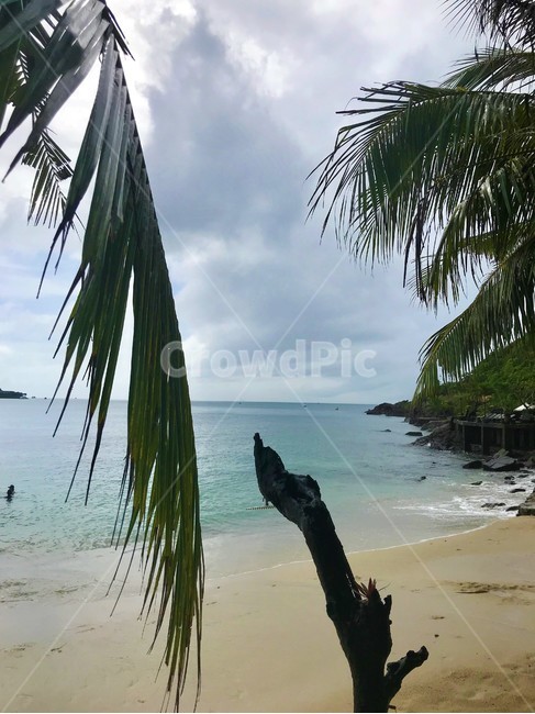 바다,모래사장,야자수,나무,하늘,자연,힐링,해변,바다,beach,sea