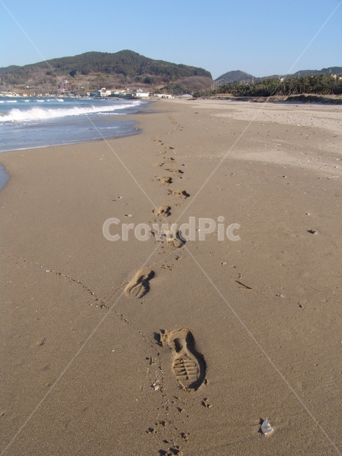 바닷가,해변,발자국,모래사장,해수욕장,겨울,겨울바다,해변가,자연,풍경,nature,landscape,한국자연풍경,한국자연경관,korea nature landscape,해변,바다,beach,sea