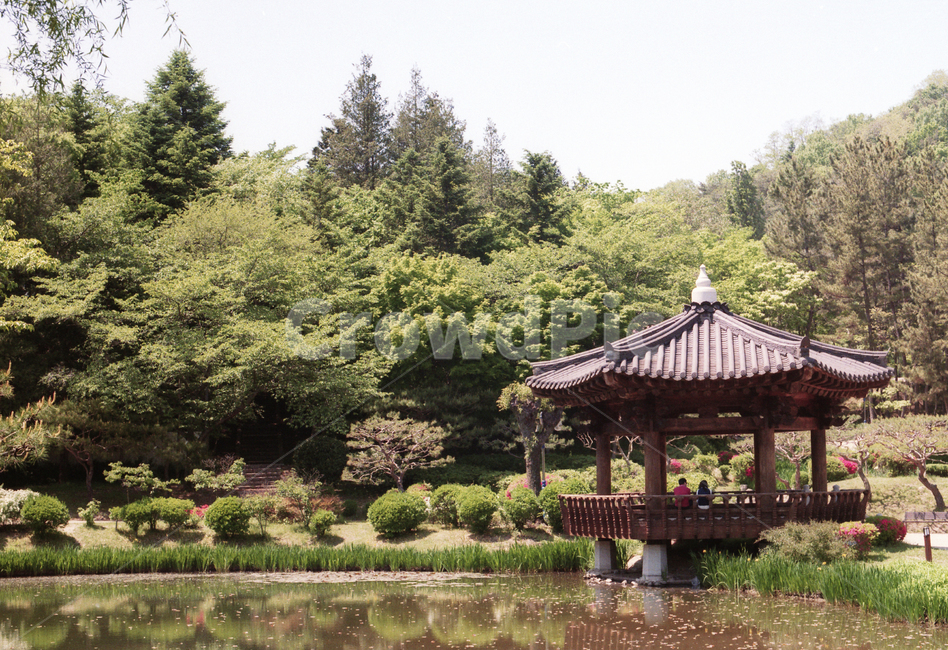 경주,관광,필름,자연,감성,정자,휴식,힐링,물,나무,숲,한국전통,한국문화,korean traditional,korean culture,건축물,건물외관,exterior,building,structure,architecture,construction