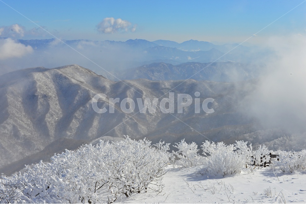 전북,무주,설천봉,상고대,상제루,mountainrange,산맥,winter,겨울,blizzard,눈보라,storm,폭풍,nature,자연,outdoors,옥외,ice,빙,snow,눈,mountain,산,향적봉,겨울,계절,winter,season,자연,풍경,nature,landscape