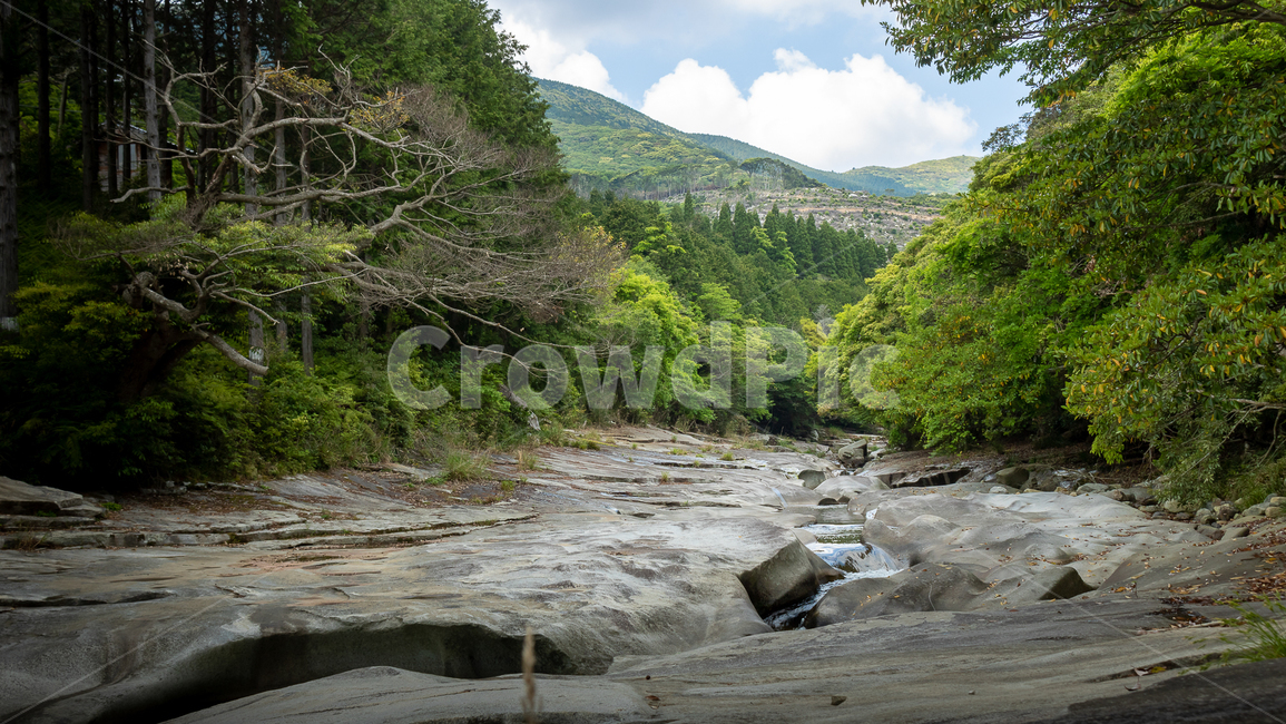 water,물,nature,자연,outdoors,흐름,stream,자연,풍경,nature,landscape,옥외,creek,작은 만