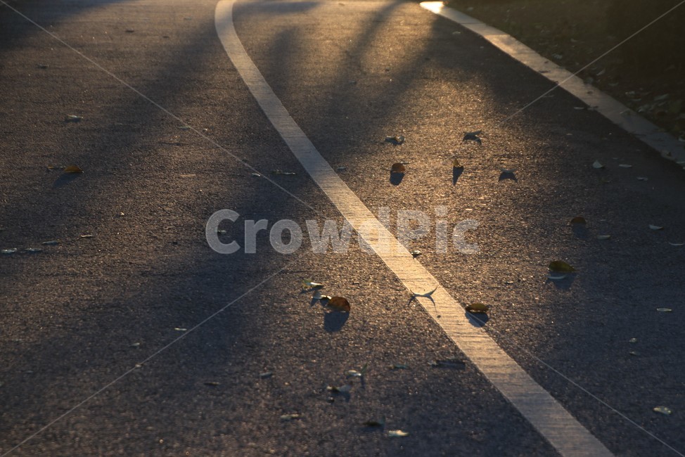 asphalt,아스팔트,도로,산책로,그림자,길
