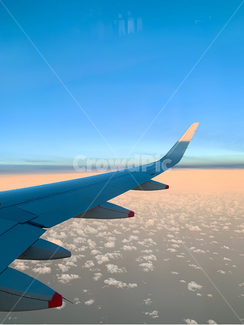 비행기,여행,하늘,구름,airplane,flight,항공기,비행,aircraft,sky,blue,교통,교통수단,traffic,transportation