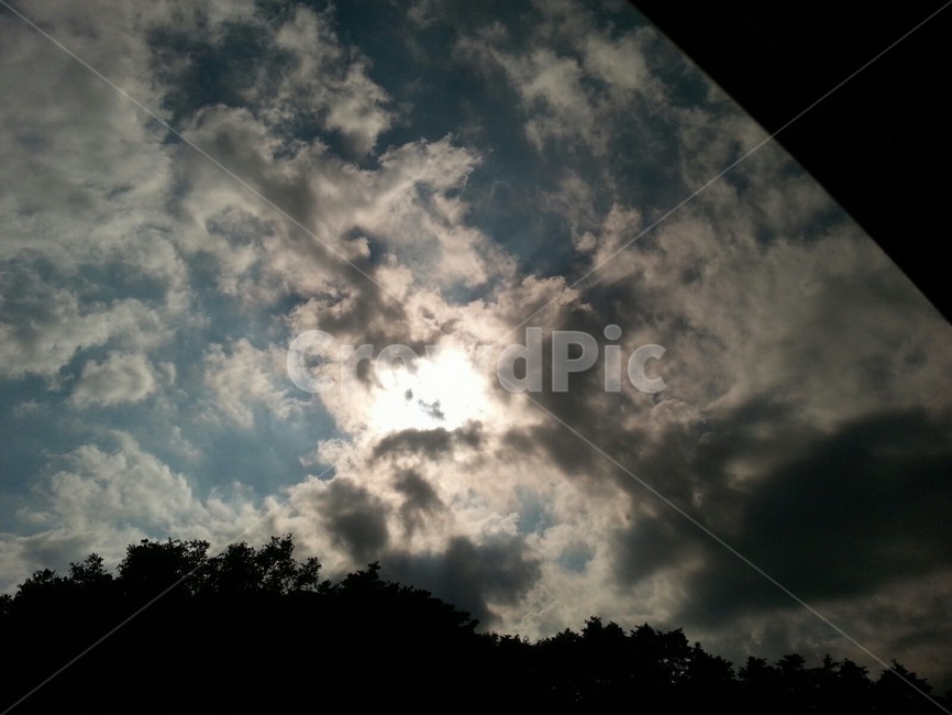 구름,하얀,뭉게,하늘,sky,blue,자유,새,햇빛