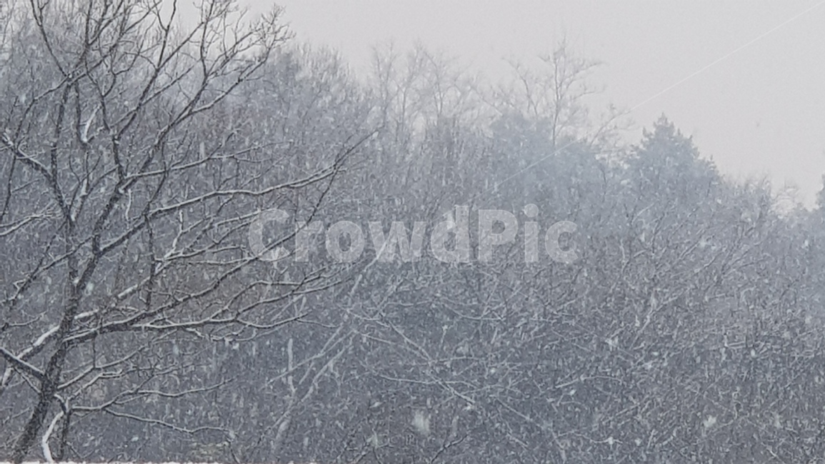 nature,자연,blizzard,눈보라,storm,눈,snow,겨울,winter,폭풍,outdoors,옥외,겨울,계절,winter,season