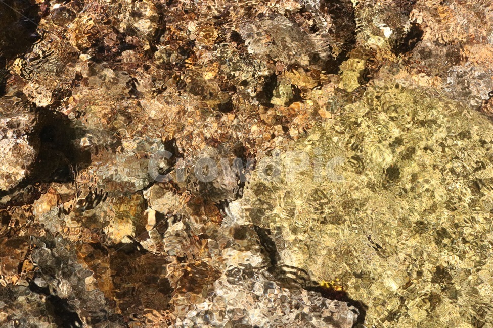 여름,계곡,물,일렁임,감성,돌,햇빛,summer,natsu,valley,keikoku,water,mizu,stone,ishi,sunlight,hizashi,자연,nature