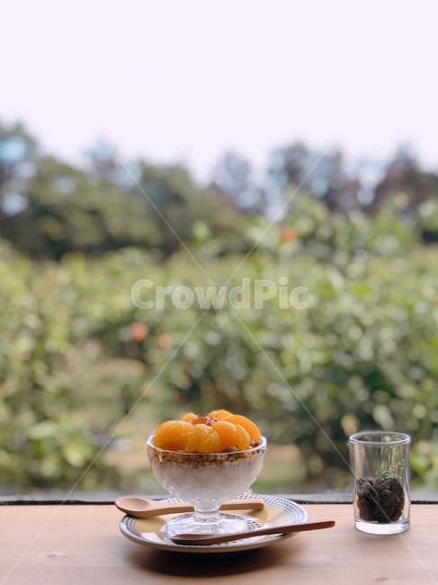 귤나무,창문,카페,자연카페,귤디저트,음식,식재료,요리,food,cook,meal,dishes,food reserves,디저트,간식,후식,dessert,snack