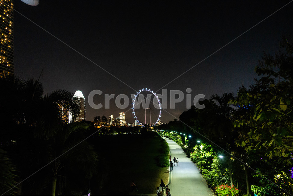 싱가포르,싱가폴,야경,singapore,nightview,park,공원,정원,gardensbythebay,가든스바이더베이