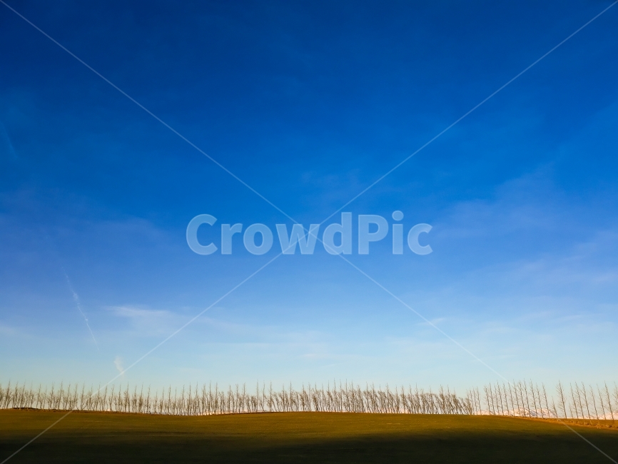 들판,파란하늘,sky,blue,나무,여행,여행자,해외여행,자연경관,자연,trip,travel,traveler,natual,natualview,view,자연,풍경,nature,landscape