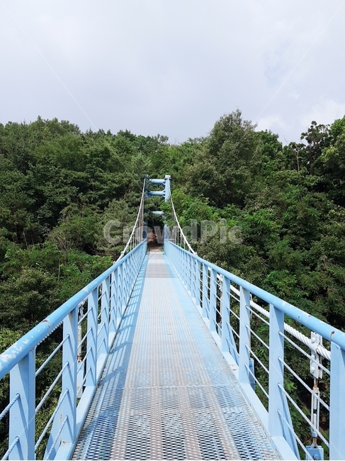 태조산,다리위,운동,산책,나무,다리,구름,산