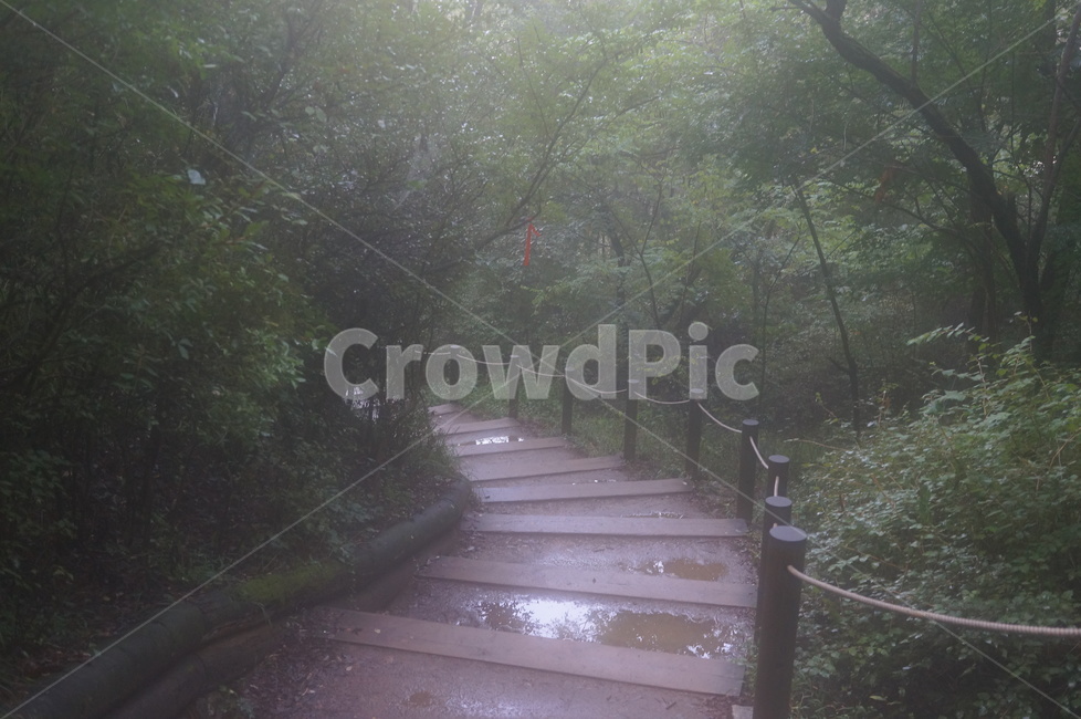 아차산,등산,숲,나무,산길,등산로,공기,초록색,식물,용마산,등반,자연,풍경,nature,landscape,outdoors,옥외,garden,정원,arbour,정자