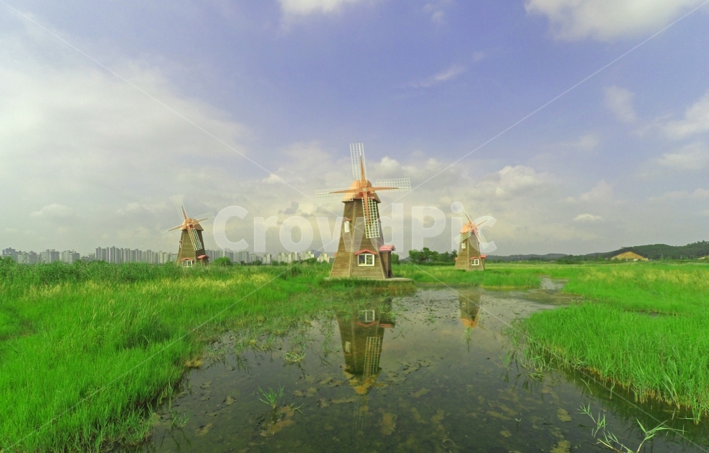풍차,windmill,dawn,풍경,landscape,평화,소래생태습지공원,소래포구,억새풀,자연,nature,한국자연풍경,한국자연경관,koreanaturelandscape,빗물,진흙,반영,소래,인천,인천소래,인천소래포구,맑은하늘,구름,cloud,맑은,가을날씨,자연,풍경,nature,landscape,한국자연풍경,한국자연경관,korea nature landscape,outdoors,옥외,water,물,land,땅,grassland,목초지,field,들